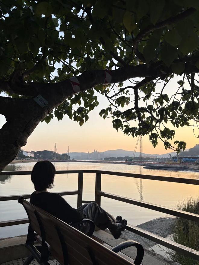 on9star：年度总结|| 2025年学会的8件小事